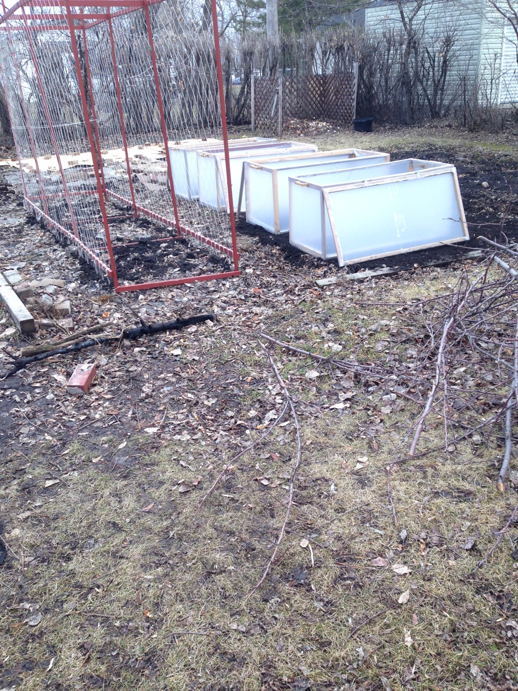 Lottie and Dottie do a&nbsp;build