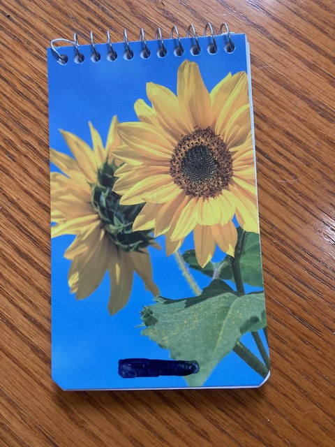 The triumph of the&nbsp;notebook