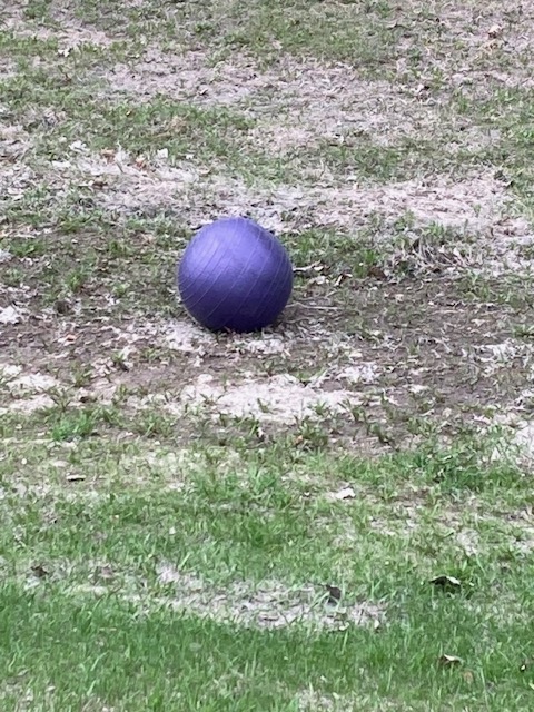 “I’m just a lonely ball, lonely and&nbsp;blue.”